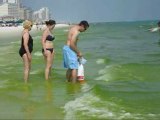 Destin Florida oil spill update beach gulf oil spill