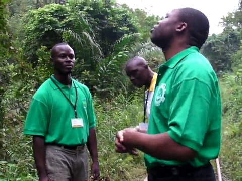 Visite dans la forêt du Mayomb au Congo Brazzaville