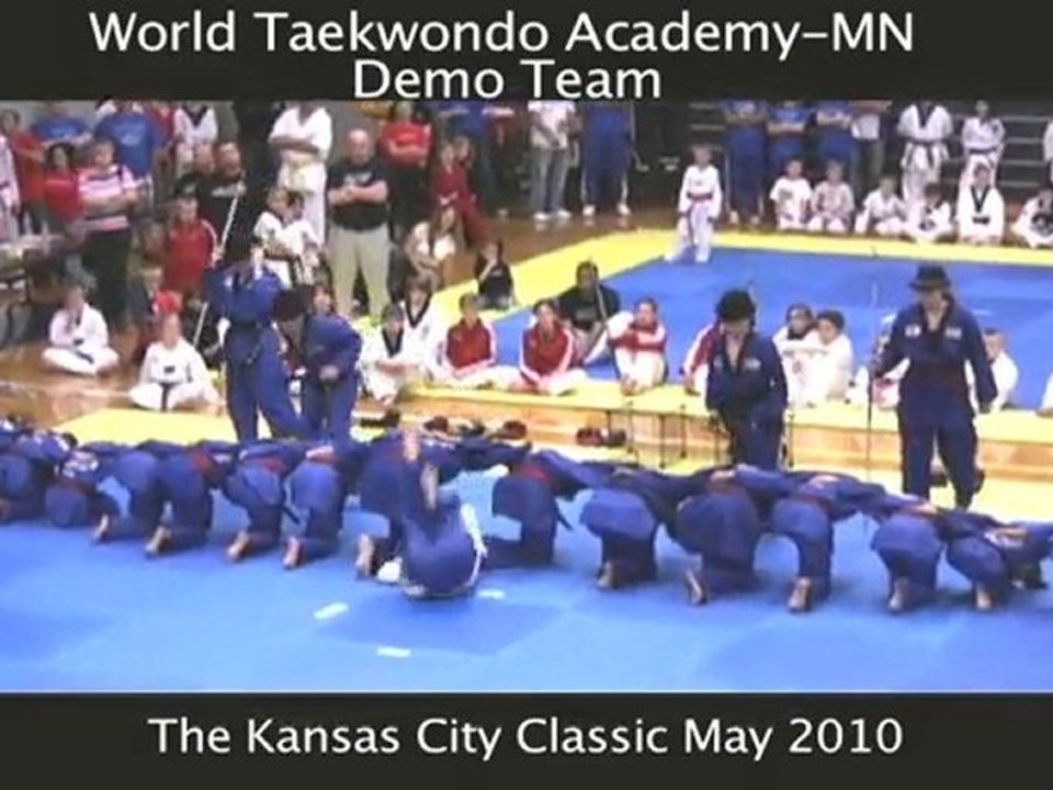 ***Tae Kwon Do Demo Team (2010)***