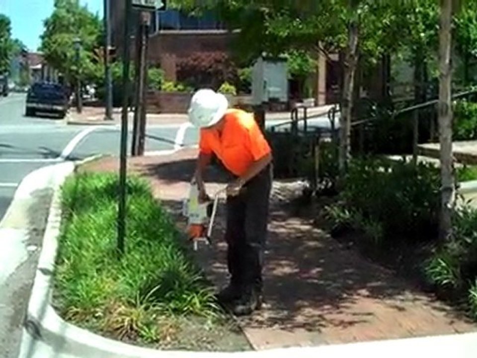 ProArbor Tree Service Drills Rootwell Hole