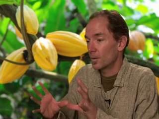 Explain Chocolate Gate - Kelly Johnson