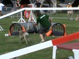 ANNONAY 2010 Servane agility1 manche1