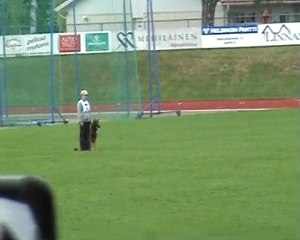 Tulikuuma Palopommi FCI -IPO qualification for WC 2010