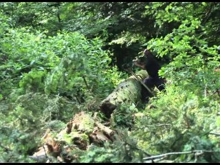 Scierie Descourvieres façonnage