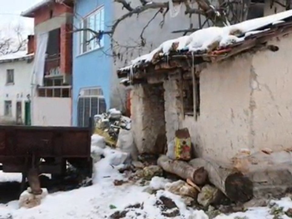 avdan
