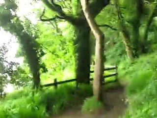 The "Bluebell forest" walk, Courtmacsherry, West Cork