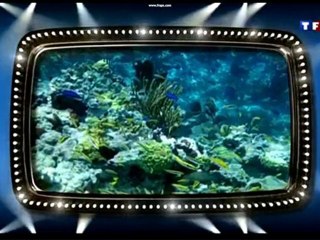 Sejour Paradise Bay Bahamas - Exuma- Excursion Seul au Monde