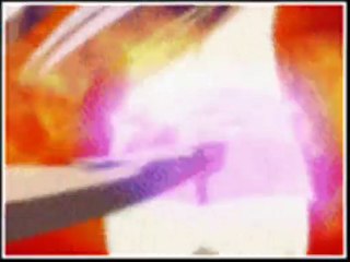 mr. wonderful tokyo mew mew