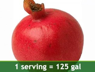 Bio Quench Powerful Antioxidant - Biotivia