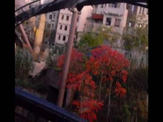 Black Mamba  (Onride Offride) - Phantasialand