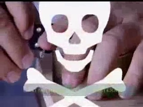 Contaminantes organicos persistentes (COP)