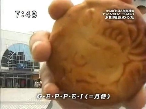 saku2 100601 3 かながわ33市町村のアンソロジー(20)(21)