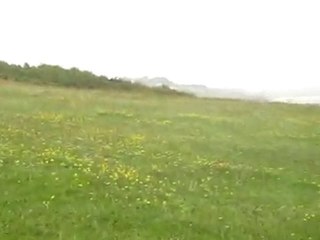 The "Bluebell forest" walk Part 2, Courtmacsherry, West Cork