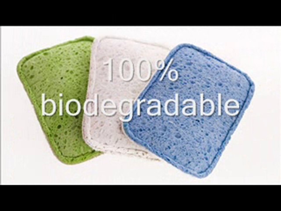Be Green Full Circle Sponges