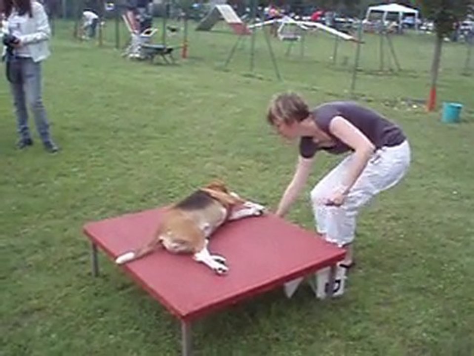 BISCOTTE à Châteauroux