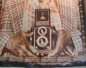 PHOTOGRAPHE VITOR CARVALHO