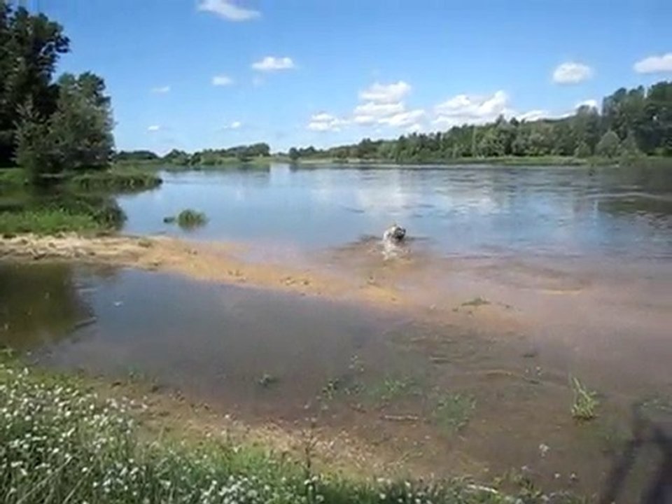St Benoit sur Loire, Le Port