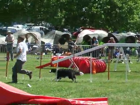 Aika Agility 1 Championnat de france Annonay 2010