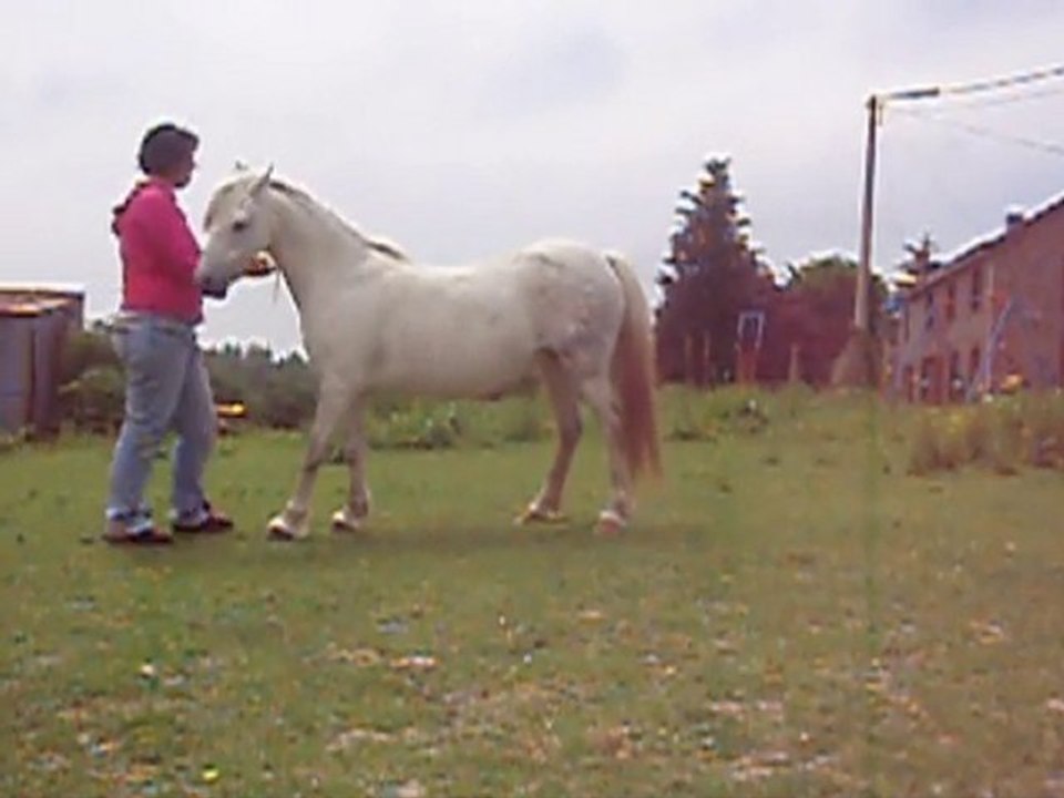 le 15.06.2010