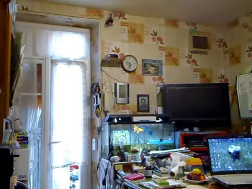 Walkera CB100 - Vol indoor après apprentissage sur Solo Pro