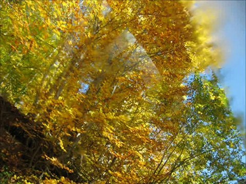 ÇATALZEYTİN KIZILCAKAYA KÖY.VE ÇEVRE KÖYLERİ