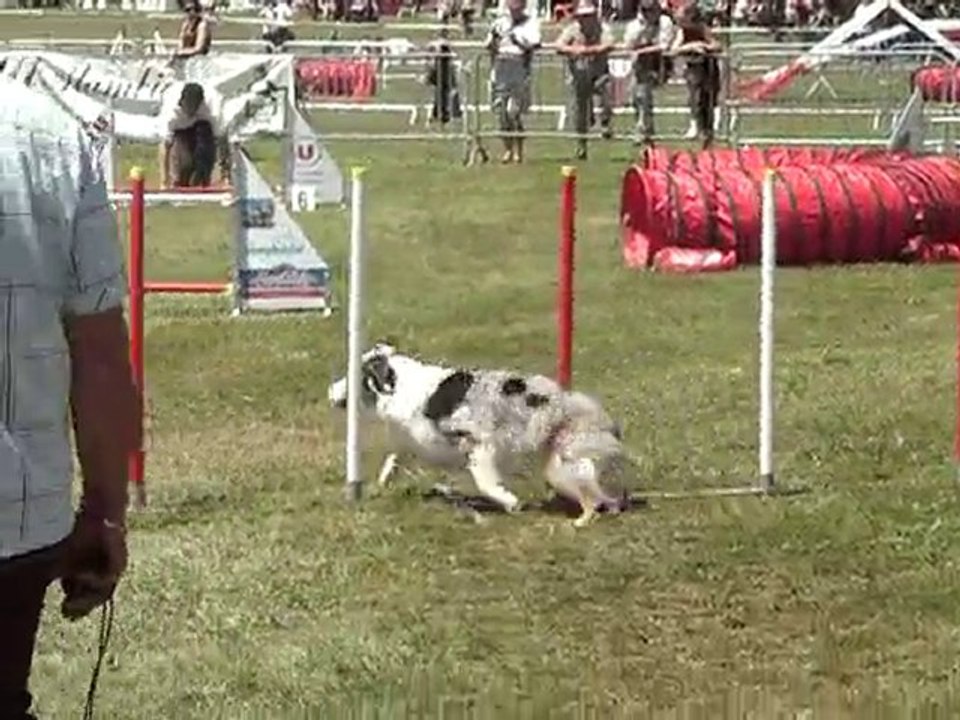 swanny jump C de F 2010