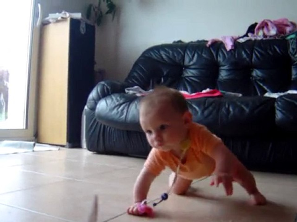 Milla fait du 4 pattes