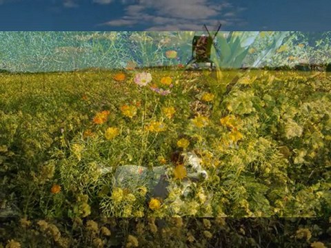 NEŞET ERTAŞ- AHIRİM SENSİN by onur dumen