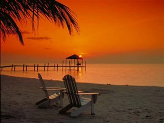 Sunrise Inc - One In A Million 2010