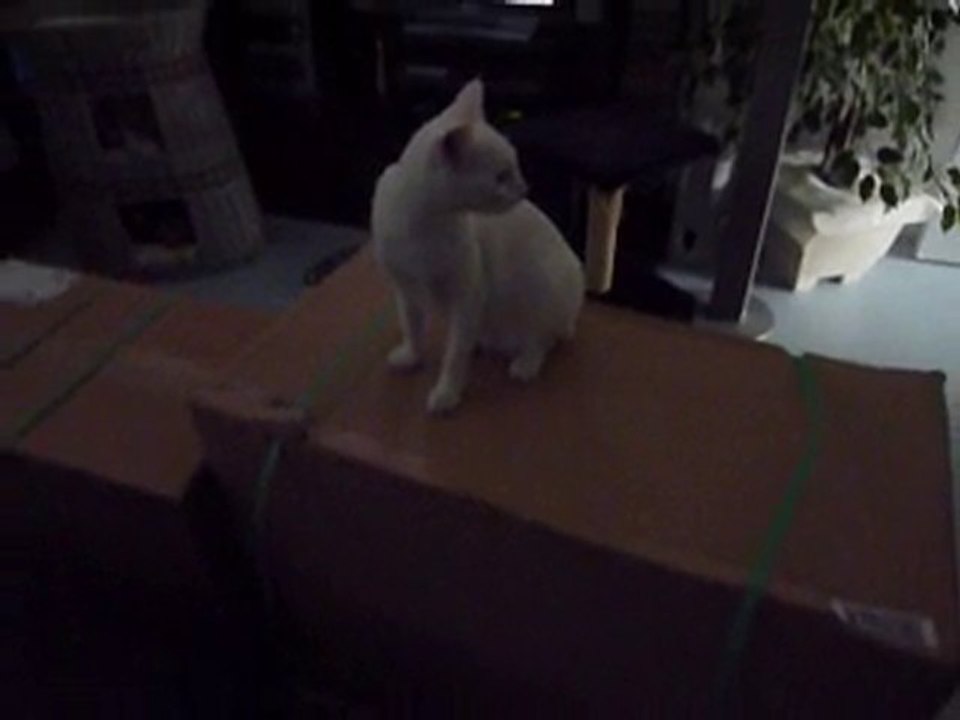 Mon cadeau !!!!!!!!!!!!!!