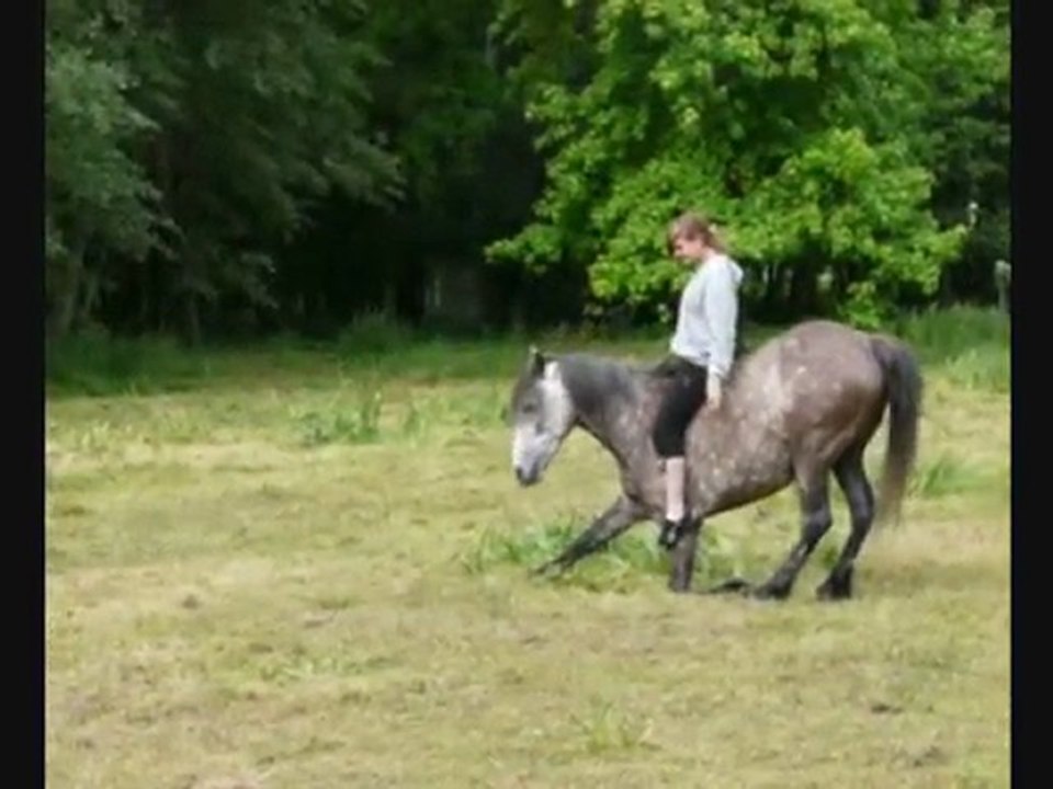 Ramsès extraits juin 2010