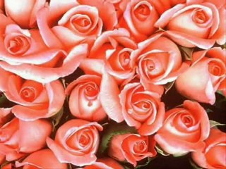 Ali Ucar abinin ruyasi