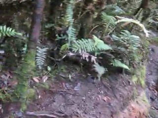 Nevado del Tolima - Coborare