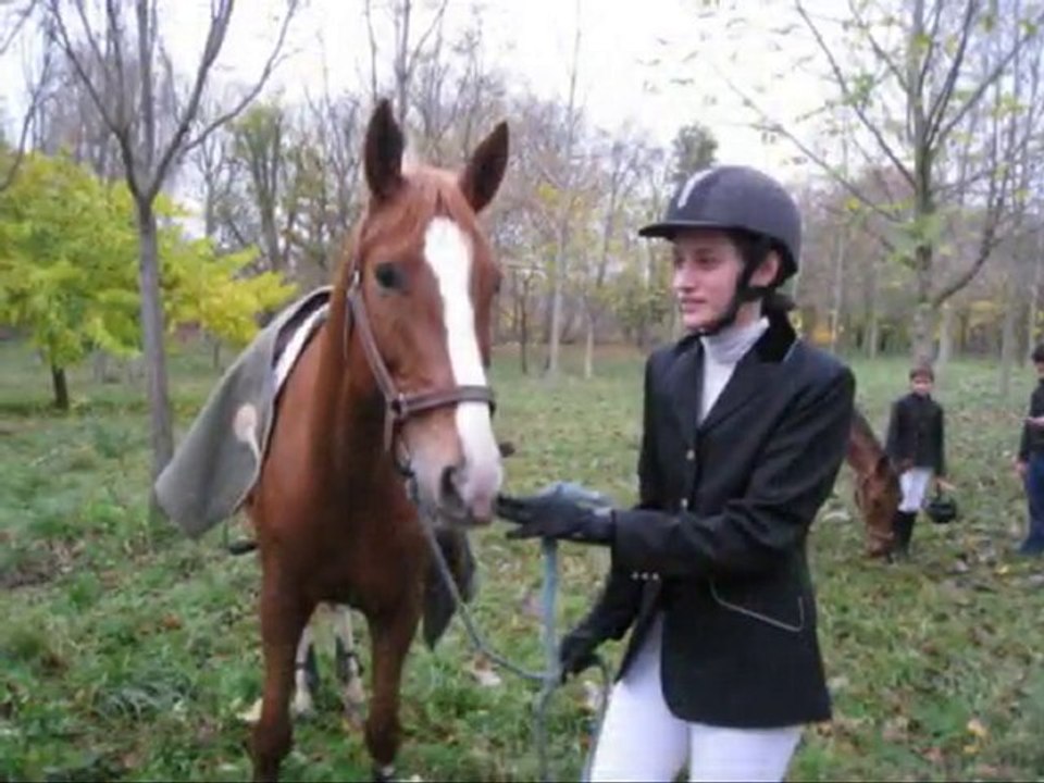 HOMMAGE à Nausée de Lolif...Partie1