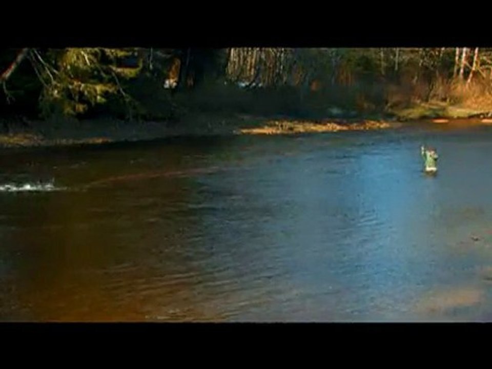 AEGMedia - Metalhead