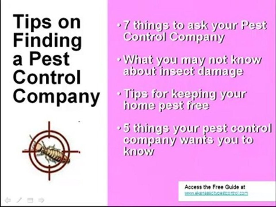 Kansas City Pest Control Kansas City Exterminator