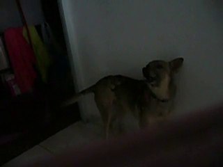 Alma et le départ en promenade