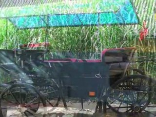 Hestevogne Sjælland Næstved Flemming Møller