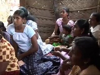 The Greenbelt Reports: Mangroves Are Forever