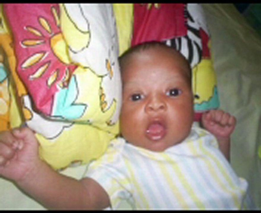 david