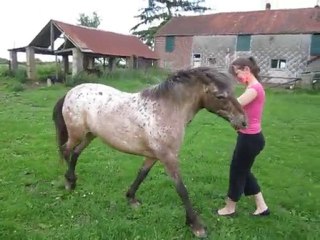 Sucette fait le pas espagnol (4)