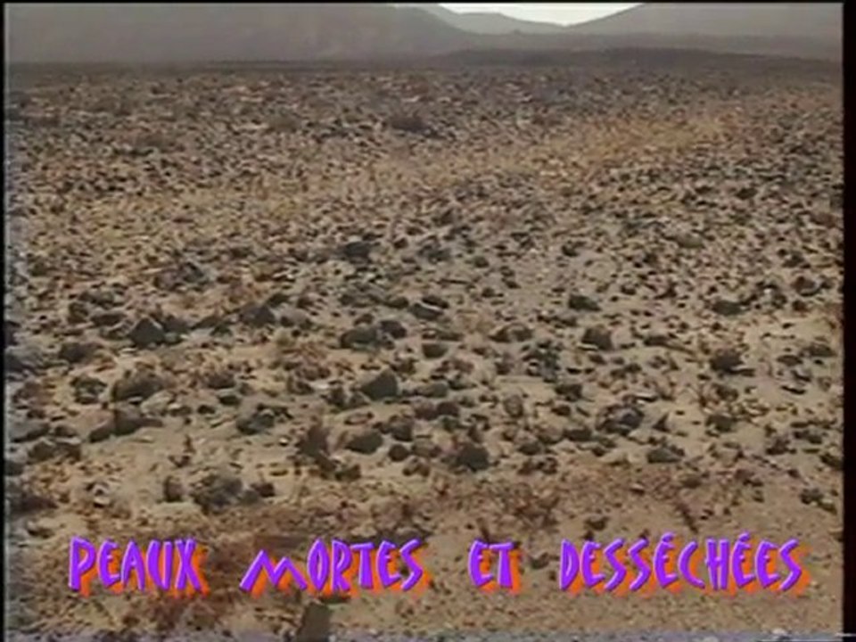 haiku du Cap vert: Sao vicente, Le souffle du désert