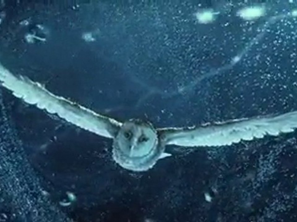 Le Royaume de Ga'Hoole - Trailer / Bande-annonce #2 HQ [VO]