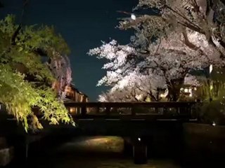 Gran Turismo 5 : Trailer E3 2010