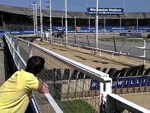 HD Video Camera – Kodak Playsport presents – Gone to the Dog