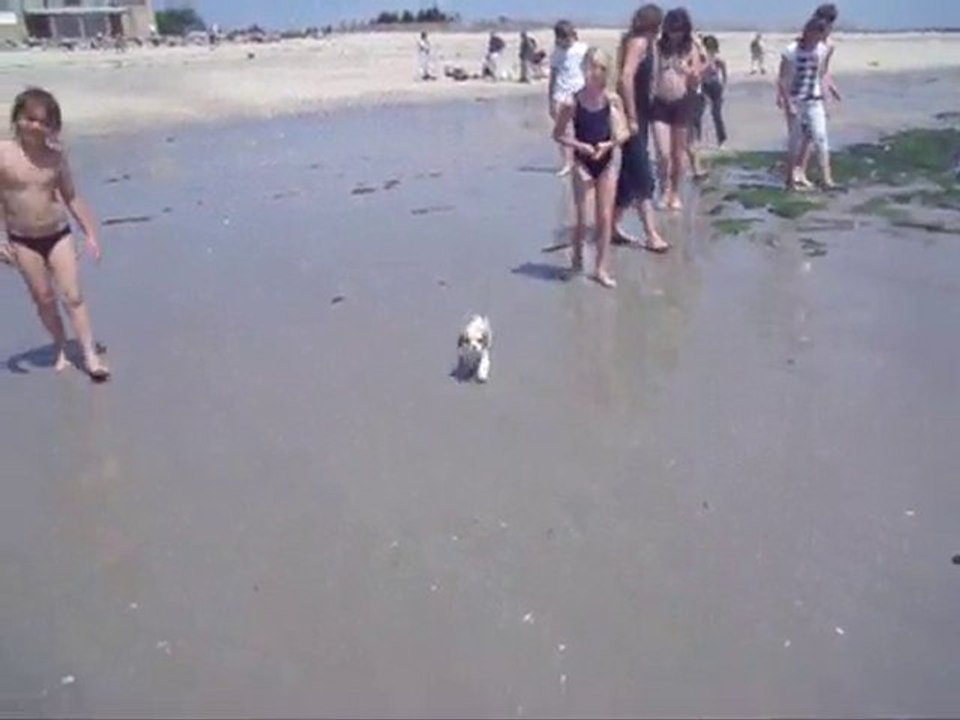 sortie plage 022