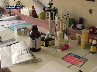 L'Eco sur 20 : Laboratoires Weleda, les soins au naturel !