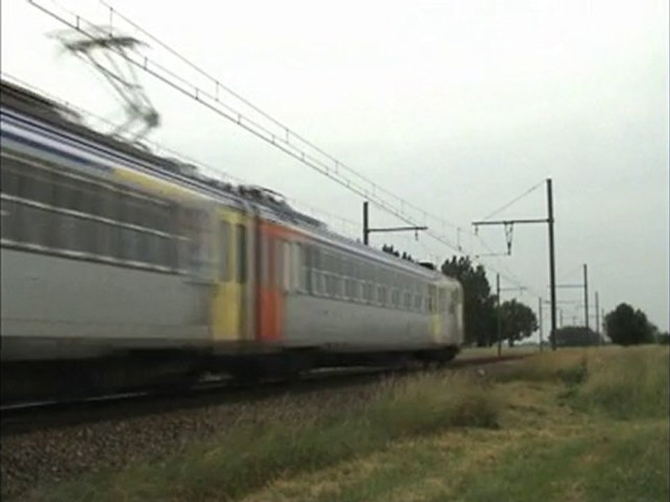 Du vert, du rouge, du jaune en Bresse