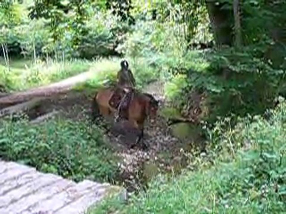 passage à gai sibelius