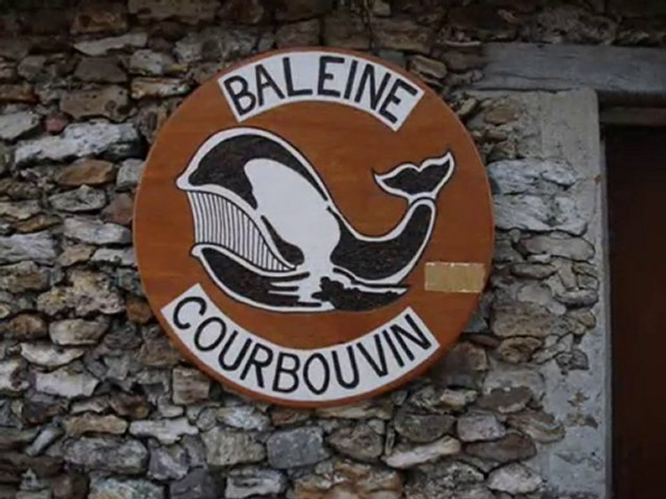 RALLY BALEINE 2010 (1er Partie)